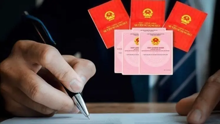 Tặng cho quyền sử dụng đất | Sống và làm việc theo pháp luật | 11/10/2025